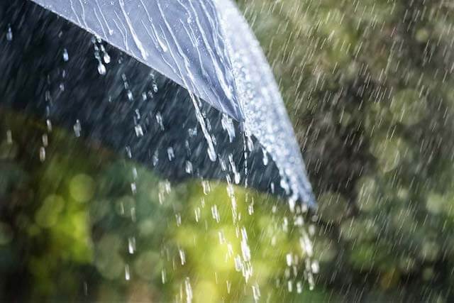 小田原　雨　画像